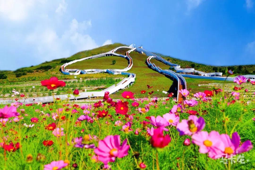 兴安盟红色文化,内蒙古兴安盟红色文化