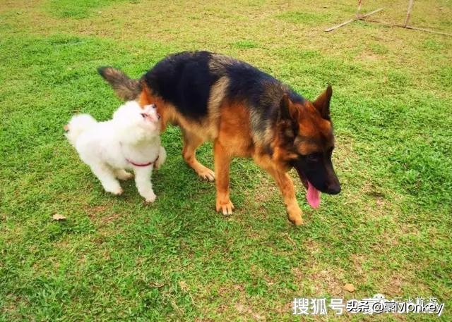 三水新昌奥特莱斯,新昌奥特莱斯是佛罗小镇吗