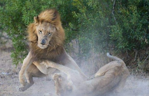 2019年第一场“倒春寒”已确定?微商:扶我起来,我还能赚