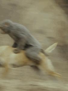 认真看完后，心平气和说说诛仙，并没有那么烂