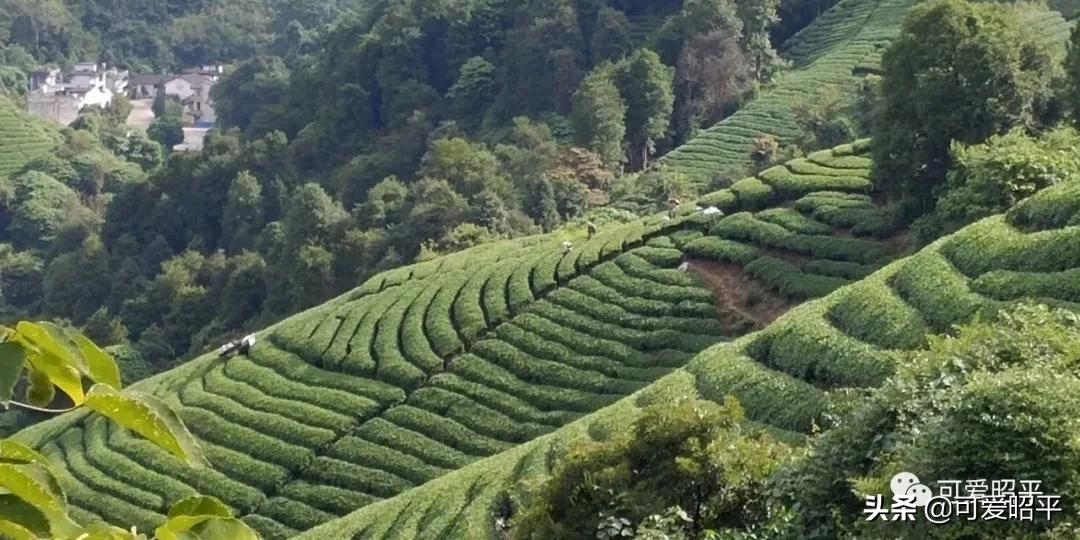 贺州市昭平县桂江游船,广西昭平桂江游船