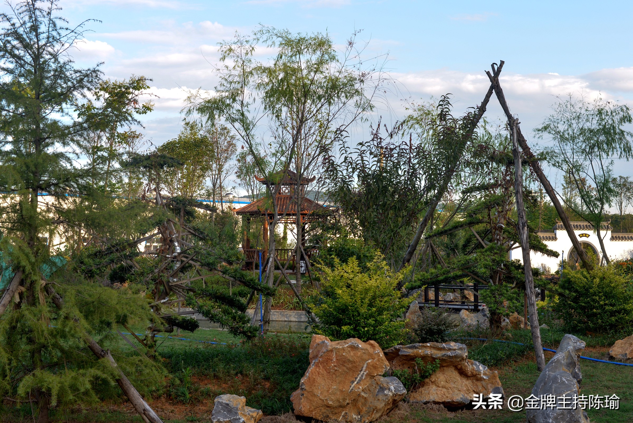 湖南科森农业有限公司,湖南科森农业股份有限公司