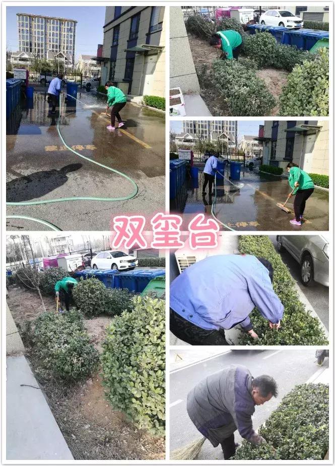 创城有我,创城有我秦皇岛