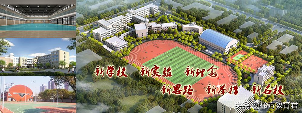 沪上今年新建15所初中!世外、复旦、未来科技!对口这些地段