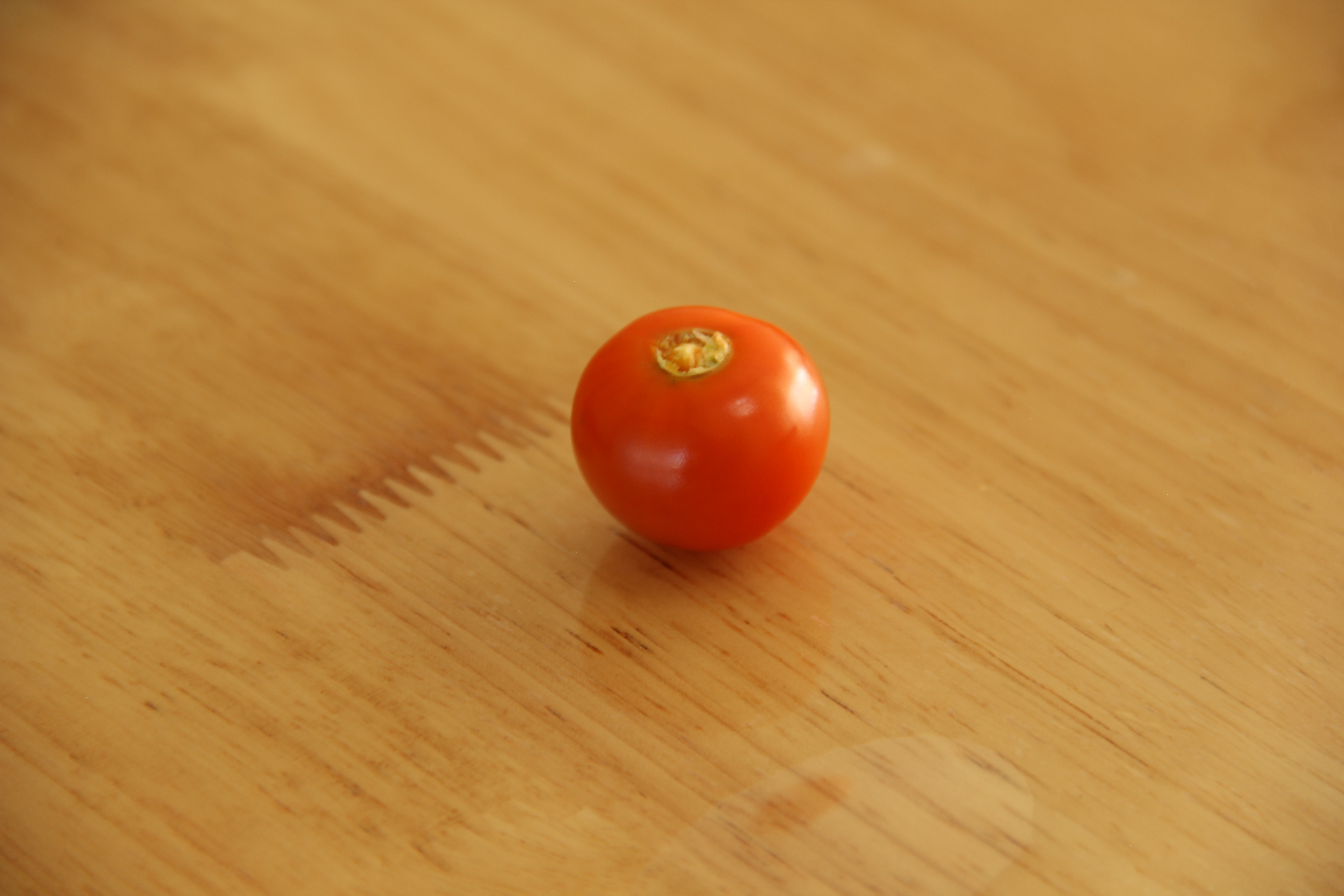 东北红姑娘图片大全,东北红姑娘种植技术