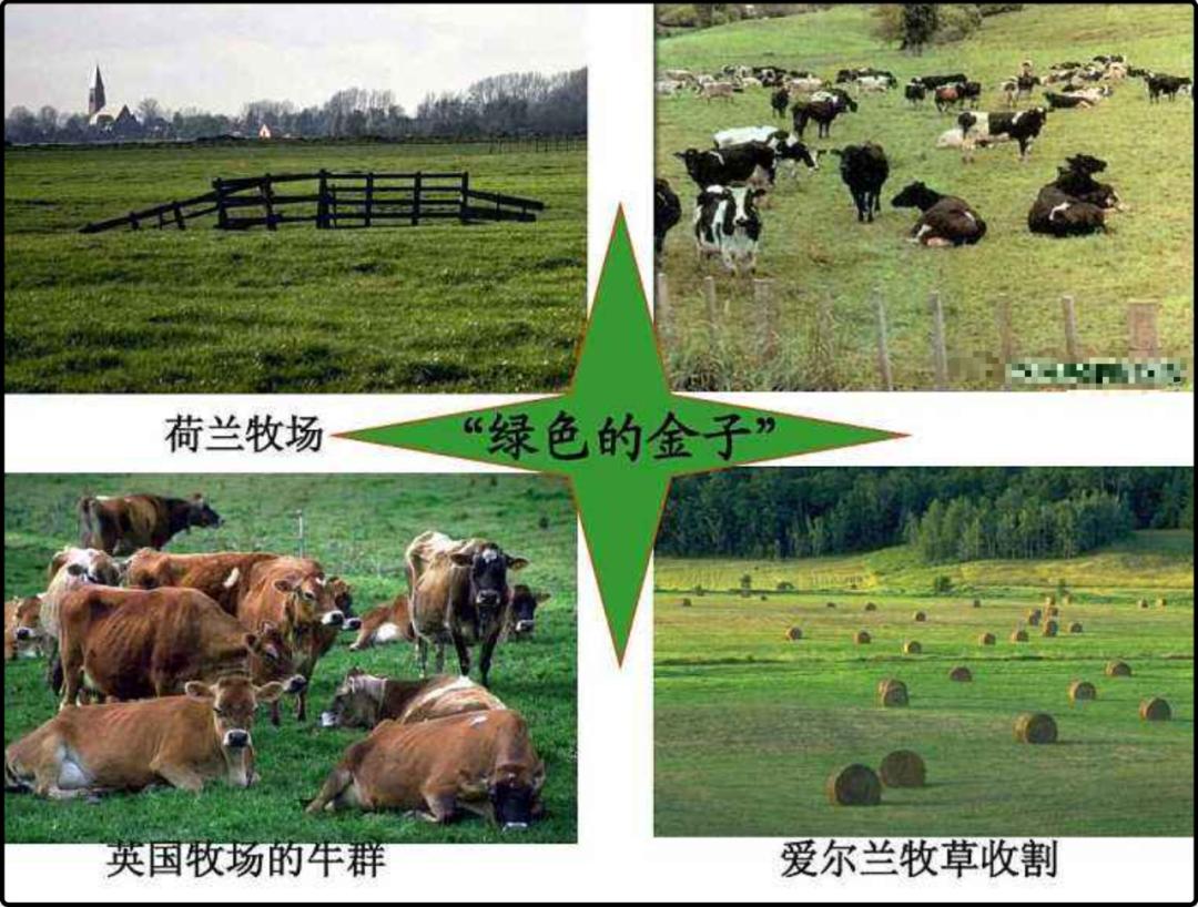 分享下美国物价,公知们爱美国究竟爱的是什么