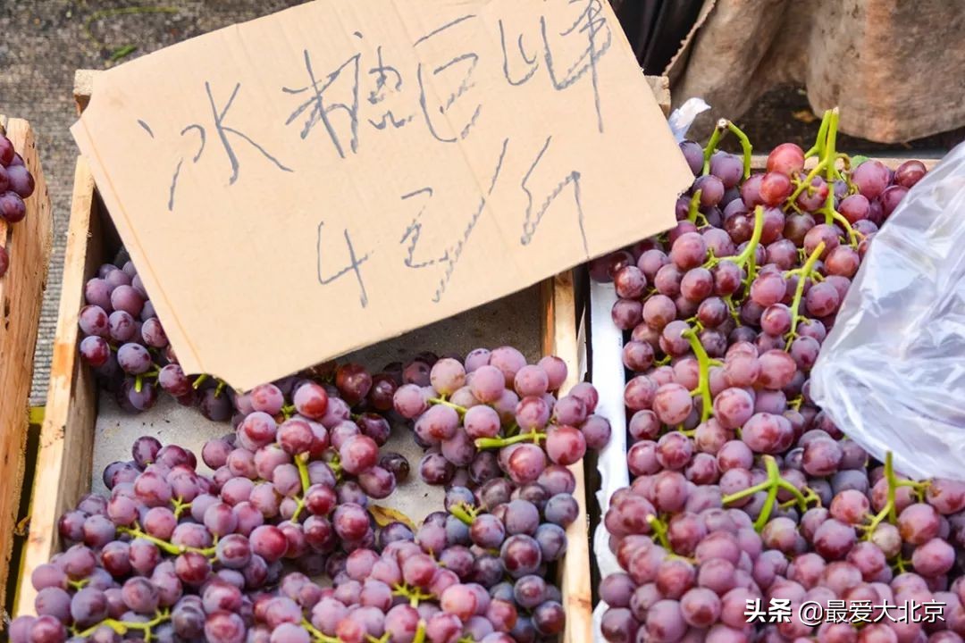 带你逛北京最大早市,北京正宗早市推荐
