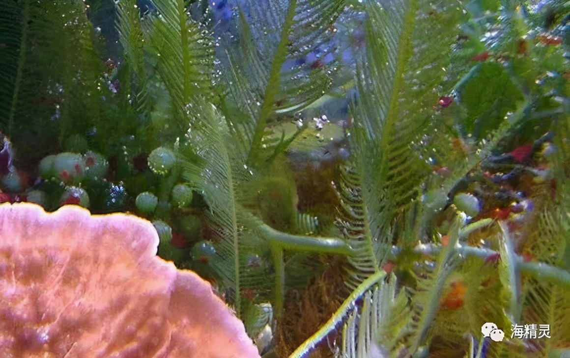 怎么才能从众人中脱颖而出,如何让自己从人群中脱颖而出