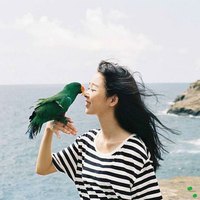 上联：随风漫步走，佳人飘逸似春柳。下联：？请友赐联