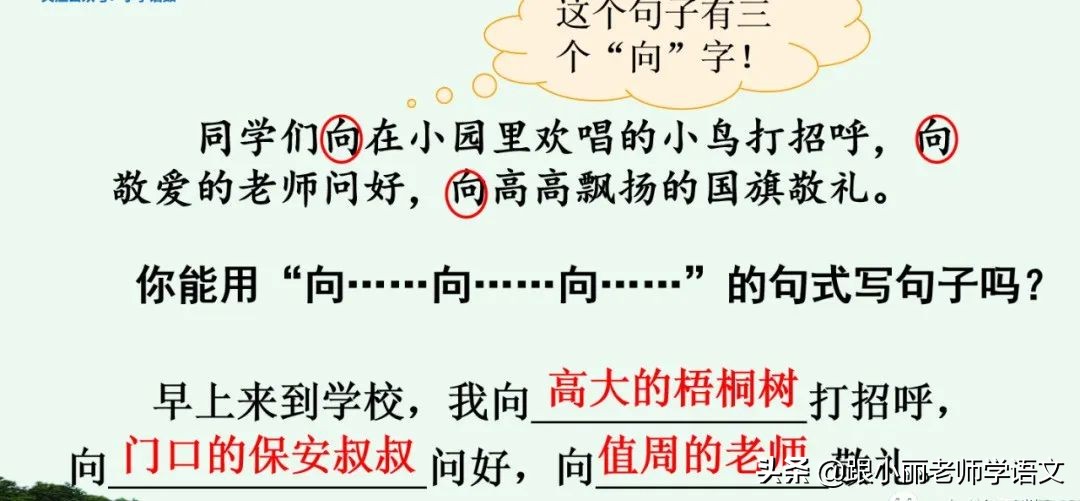 大青树下的小学必会知识点,大青树下的小学必考知识点