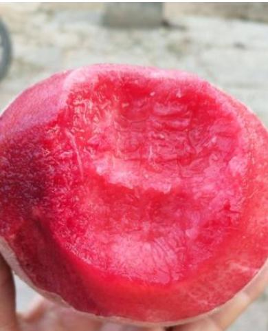 含铁高的水果蔬菜排行榜,什么水果含铁多补血效果好