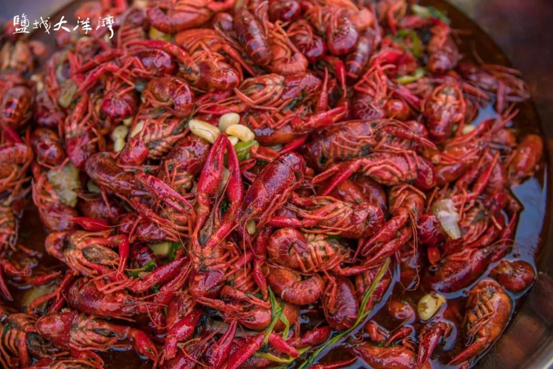 大洋湾沙滩排球锦标赛,大洋湾沙滩排球赛