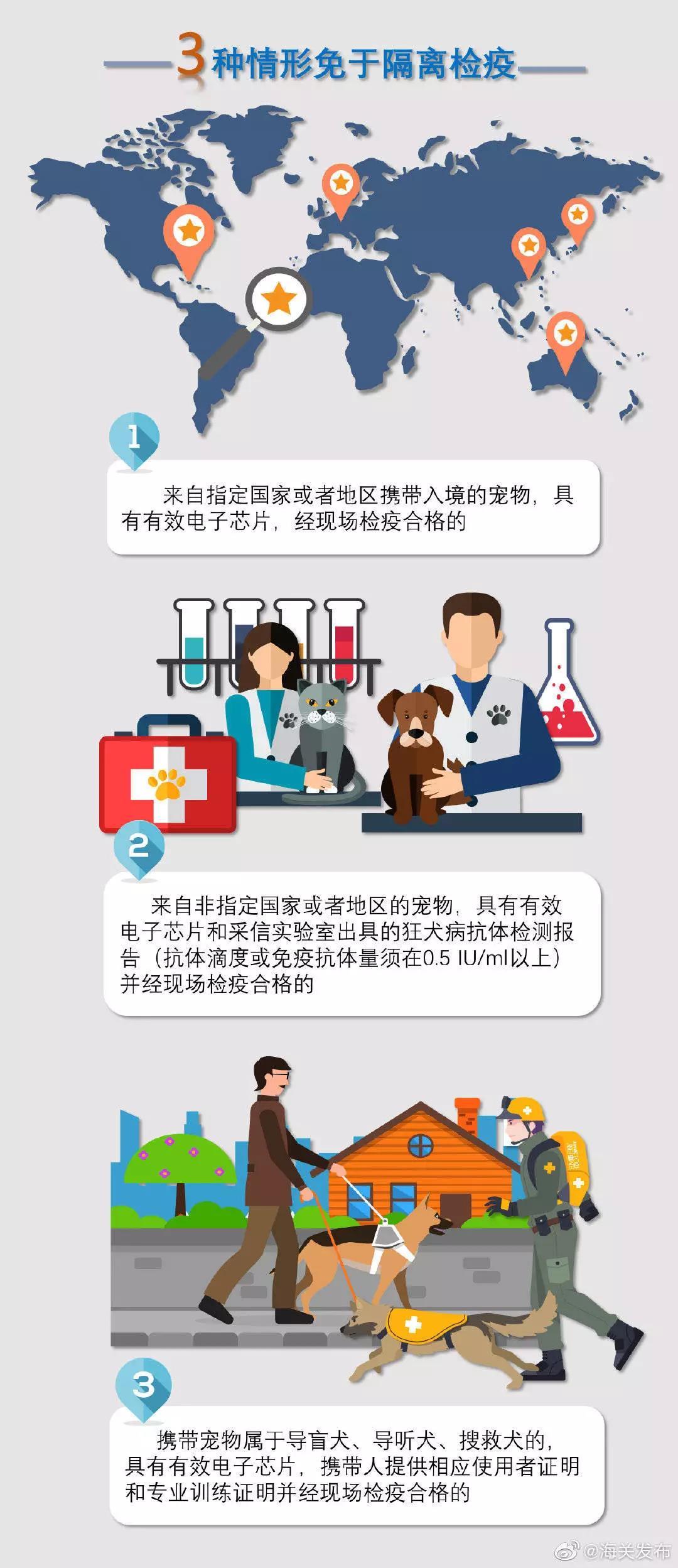 夏天如何带宠物上飞机回国,有哪些地方可以带宠物回国