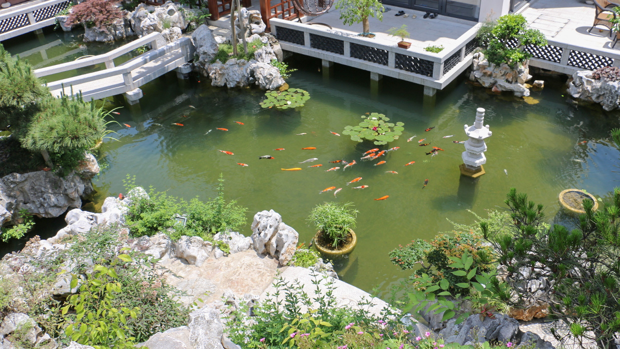 诗意的人生诗句,有关诗意人生的诗词