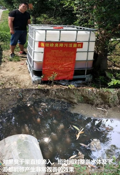 强力除臭除菌剂,脏水处理除臭菌剂厂家推荐