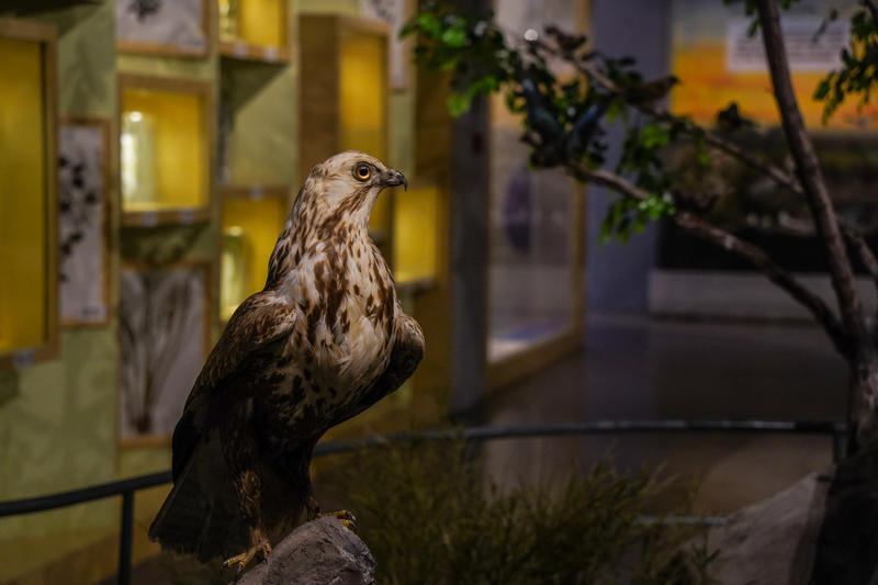 山东周边游2天1夜小众,5.1山东五日游