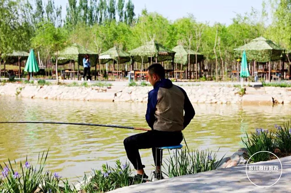 银川清真的农家乐烤全羊哪家好吃,银川烤全羊的海鲜自助推荐