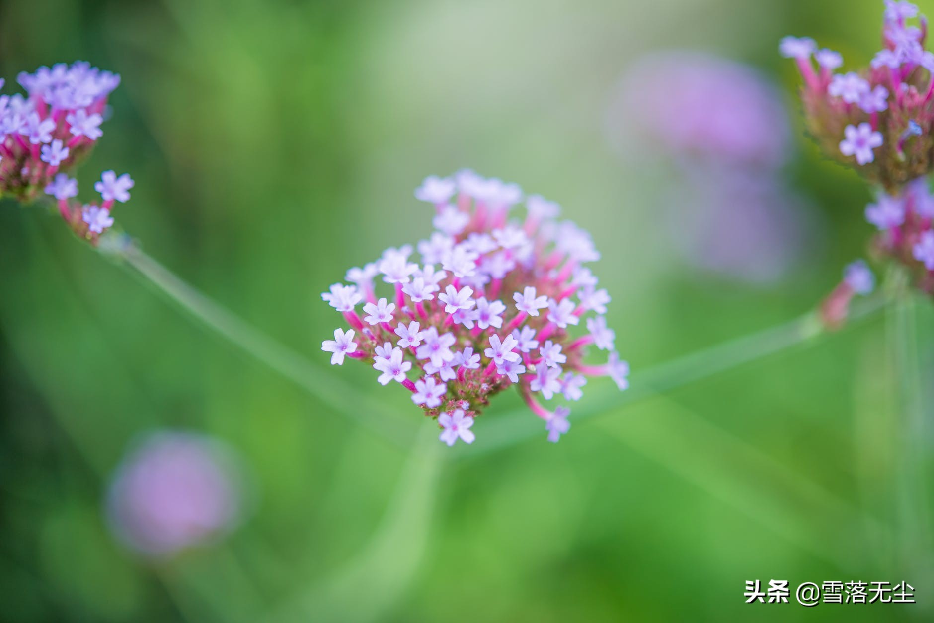 别让你的不好意思毁掉你人生,吃尽生活苦
