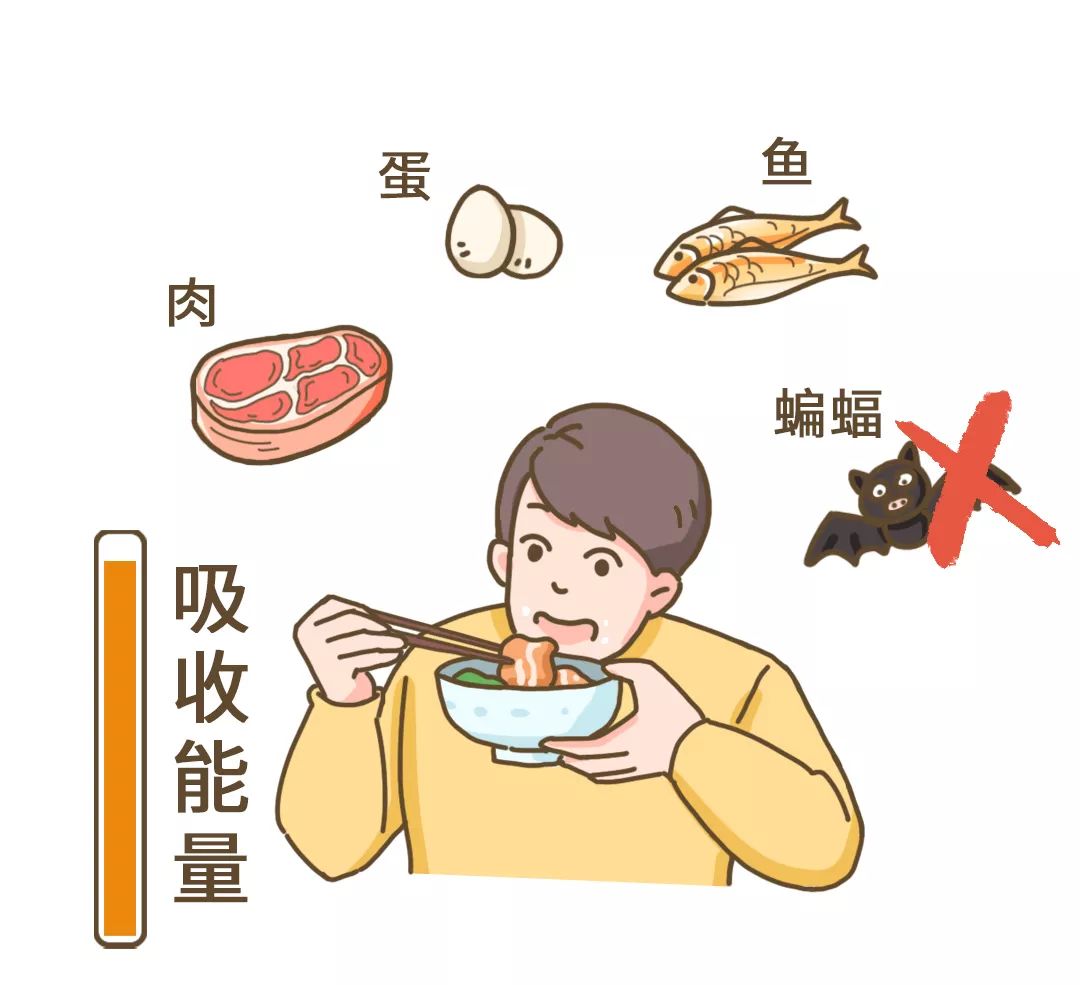 40岁女人身材走样怎么恢复,怀孕身材走样以后能恢复吗