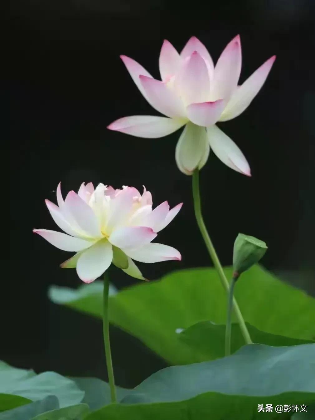 与销售挂钩的补贴收入怎么做账,与销售行为挂钩的财政补贴分录