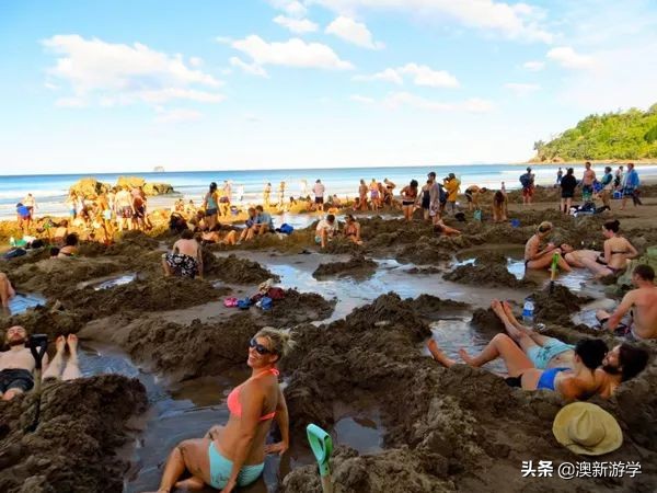 新西兰北岛自驾游攻略,新西兰北岛攻略3日行程规划