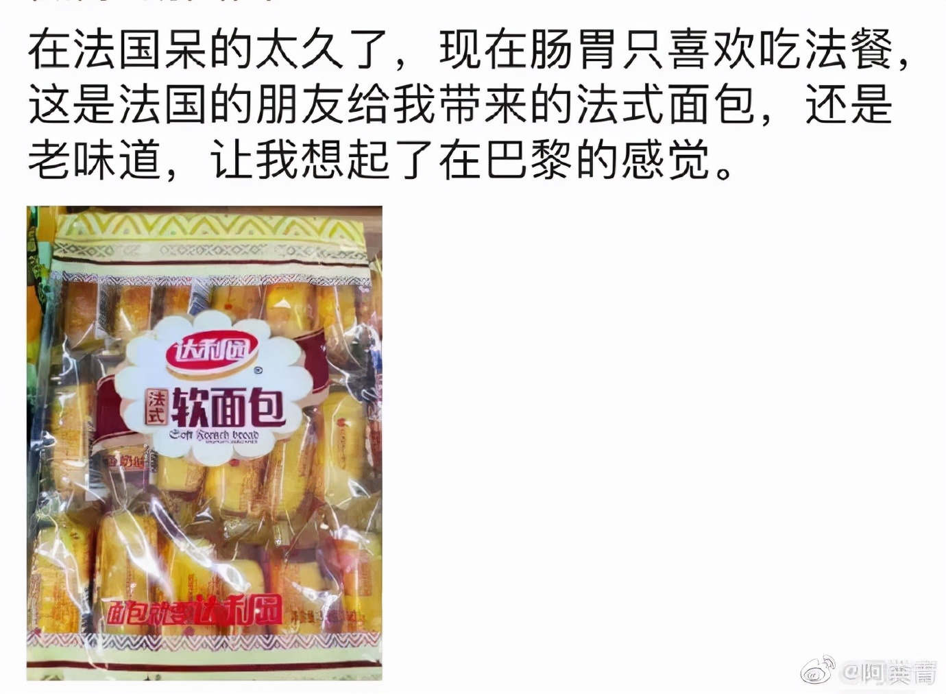 看到铲屎官终于回家，立即安心地睡着了|冷段子1986