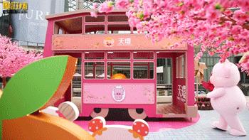 麦兜潮玩,麦兜打卡地