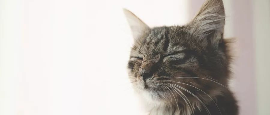 什么褪黑素对睡眠效果好测评,辟谣褪黑素到底能不能帮助你睡眠