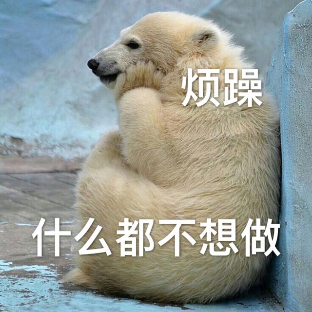 今年一定要懂的网络流行词,形容很厉害的网络流行词