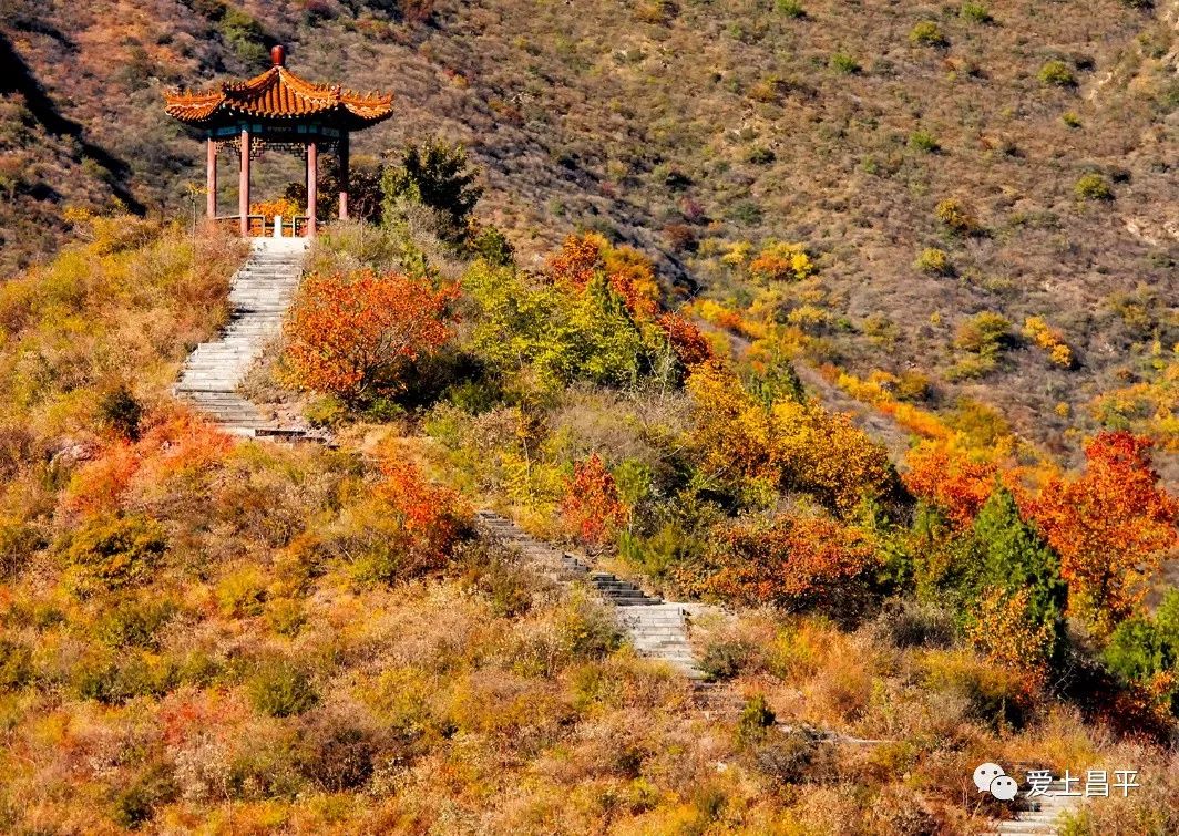 昌平区适合一日游玩踏青的地方,4月中旬昌平区最值得去的景点