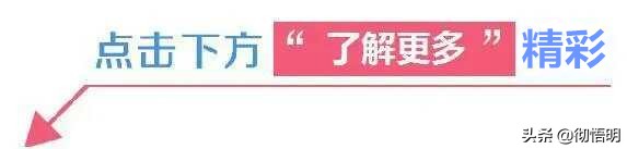 俄罗斯私人导游费用,俄罗斯给导游多少钱