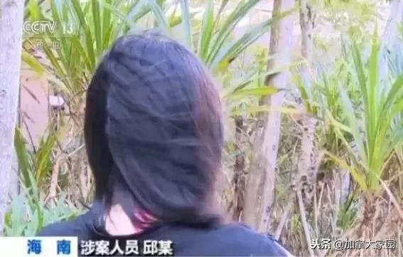 中国女留学生吸“笑气”成瘾：一年花十几万，瘫痪，坐轮椅回国！