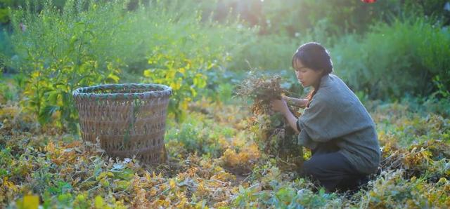 李子柒一岁辍学,李子柒七岁辍学31岁身价过亿