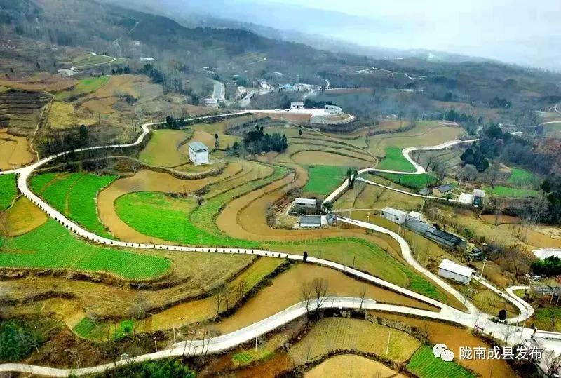 我叫成县，这是我2019年的自拍照~