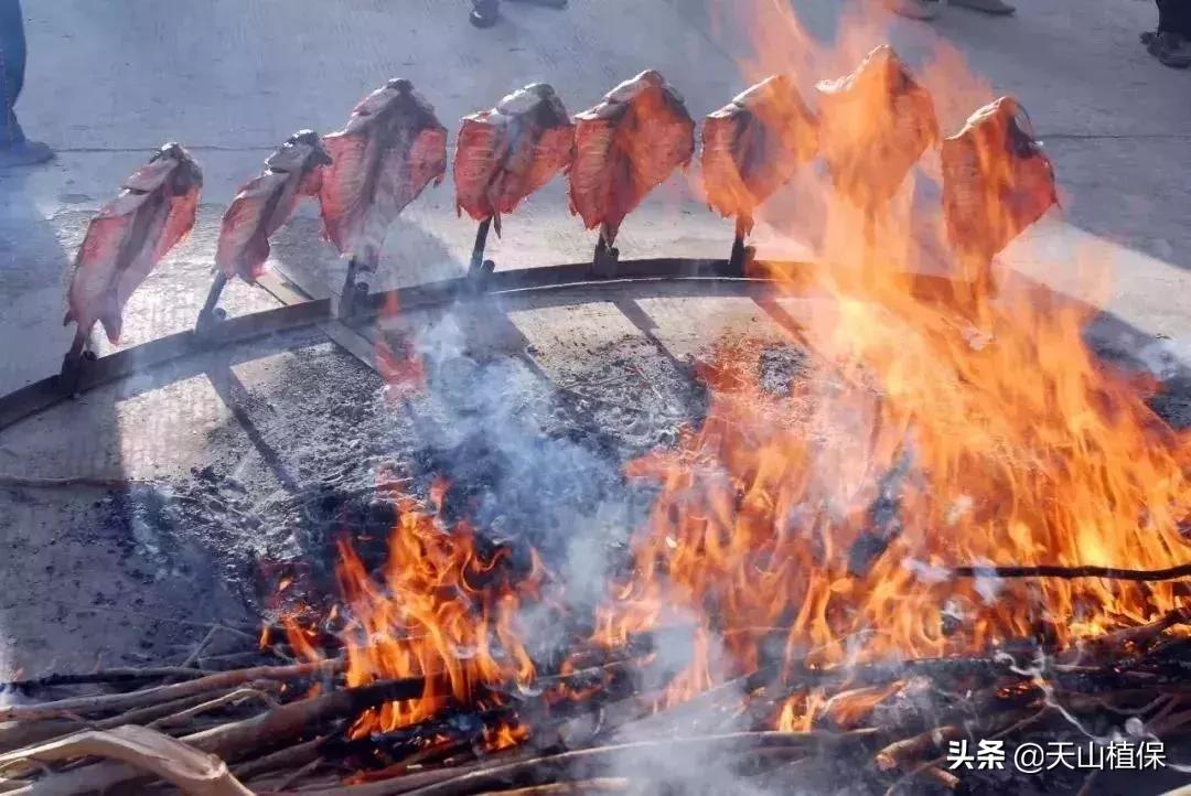 *疆新**库尔勒彻底火了！登上央视让世界瞩目，为库尔勒而骄傲