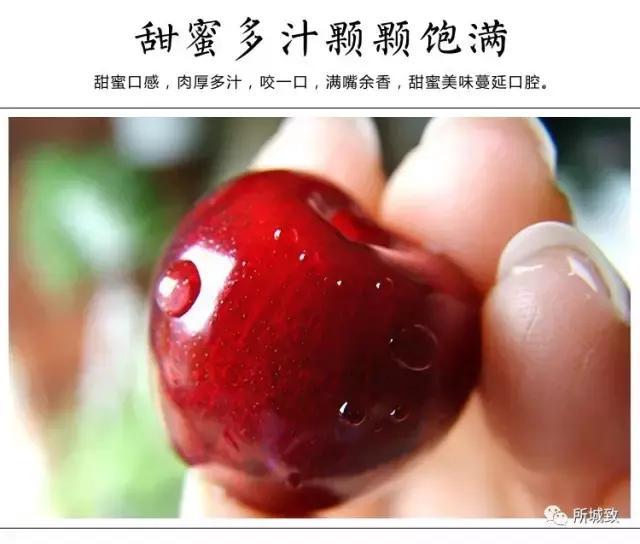 烟台樱桃季,烟台地区共产出22万吨,也就是440000000斤大樱桃