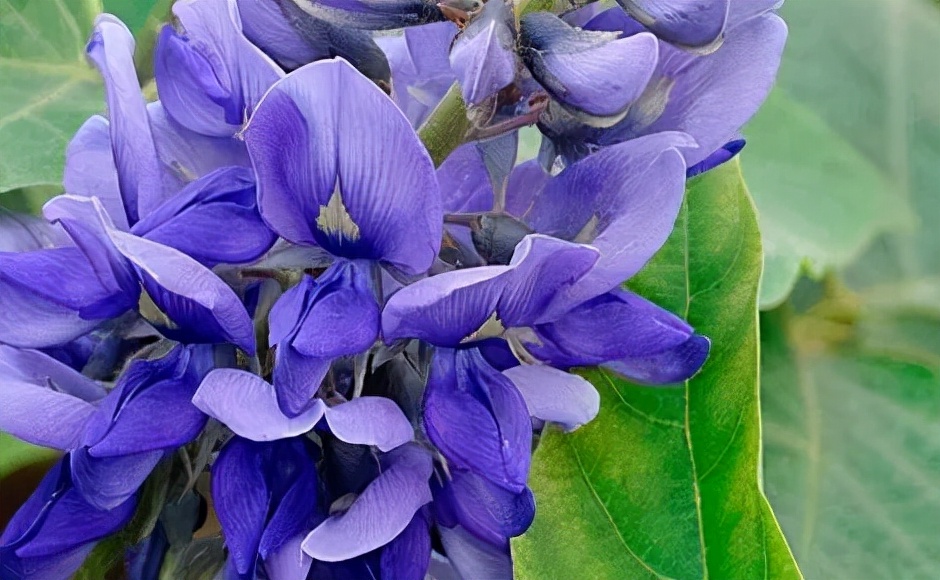 食物吃多了,食物卡在食道咽不下去解决办法