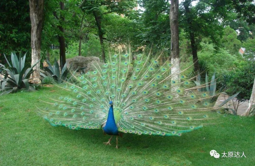 云泉谷峡谷漂流天空之境,云泉谷漂流一日游