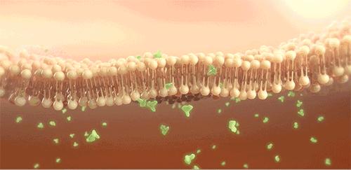 皮炎、湿疹反复发作？祖传“换皮术”，一招轻松搞定瘙痒、红肿