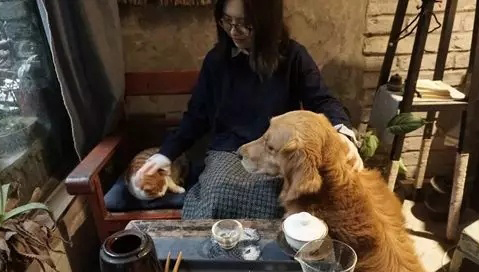 雾重庆3天2晚自由行攻略,重庆山城五日游