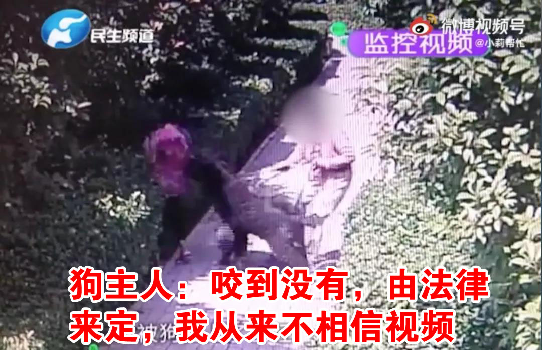 新华社五问安阳狗咬人事件,央视评论安阳狗咬人事件反转