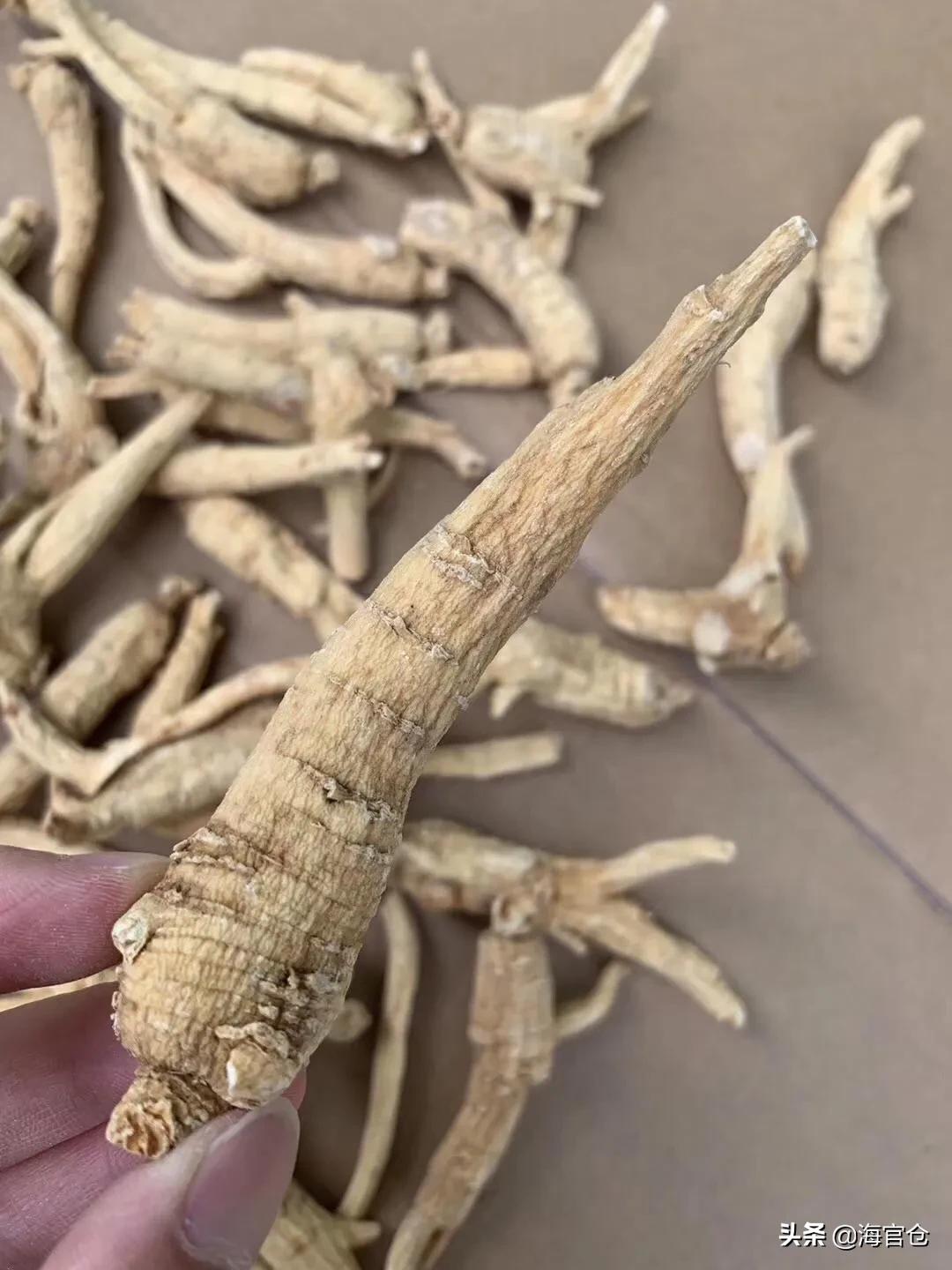 冬天西洋参泡水喝的正确方法,西洋参秋天怎么喝