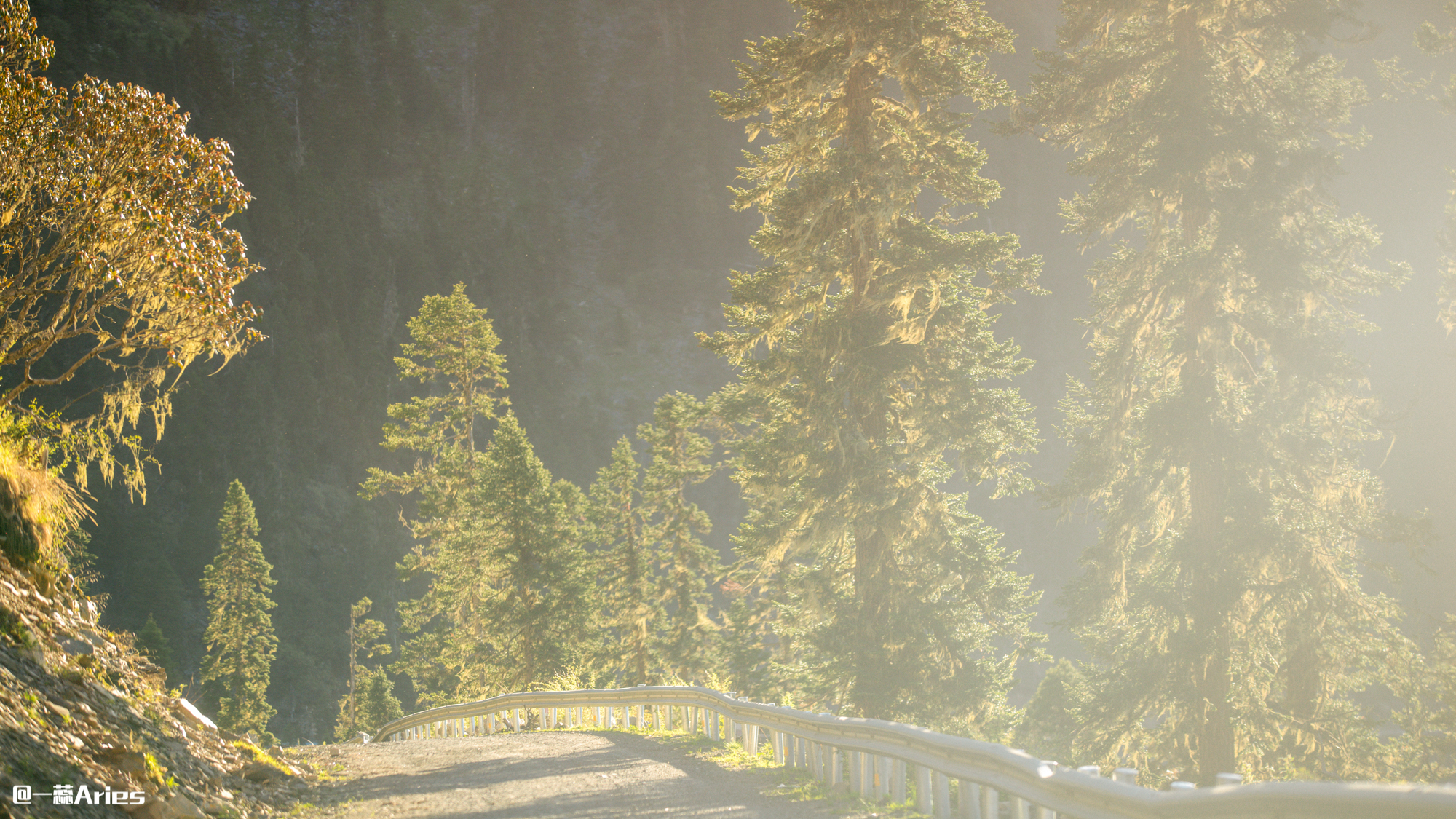 川西赏秋什么时间最好,推荐全球十大最佳赏秋胜地