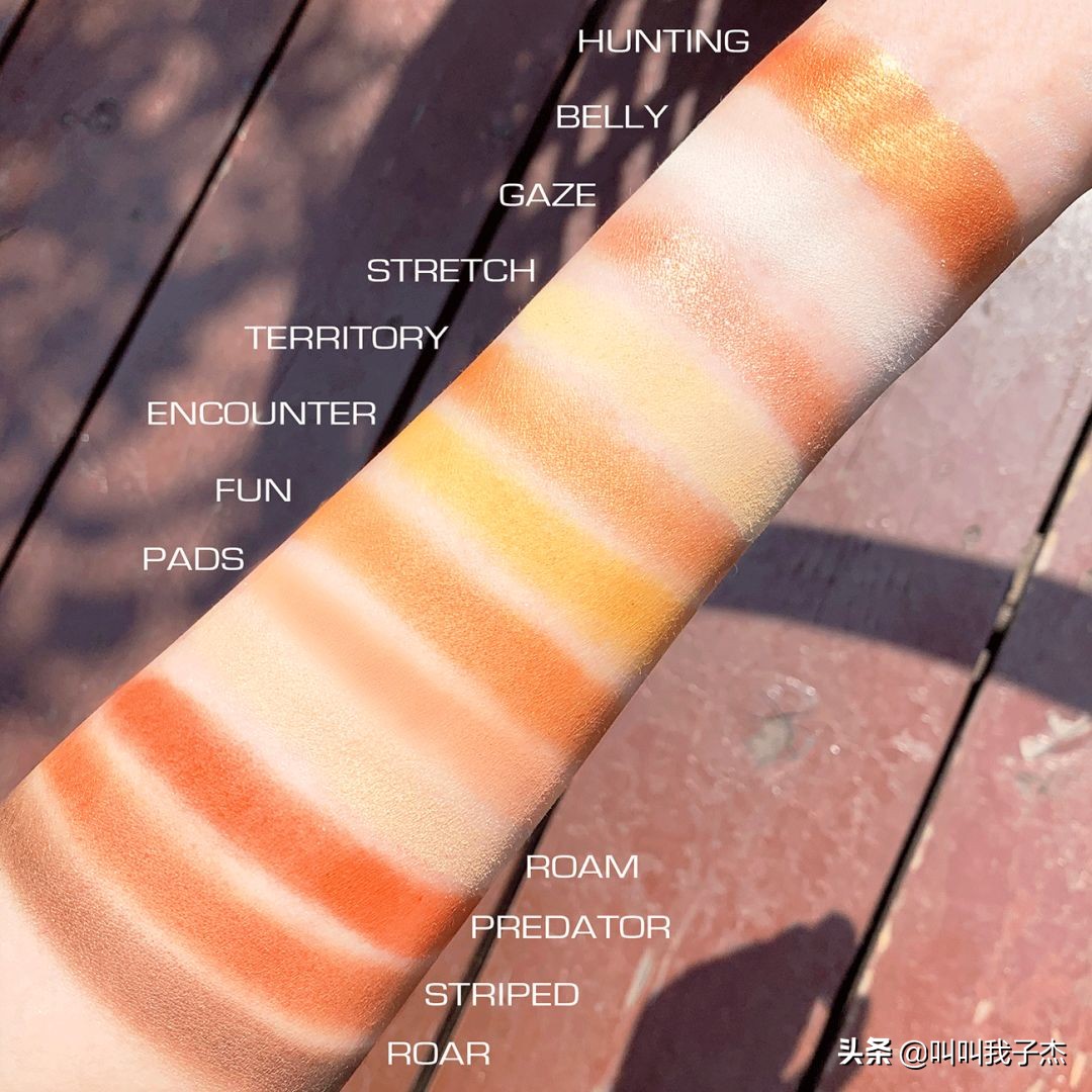 眼影盘一盘多用推荐平价国货,不用代购的平价商品