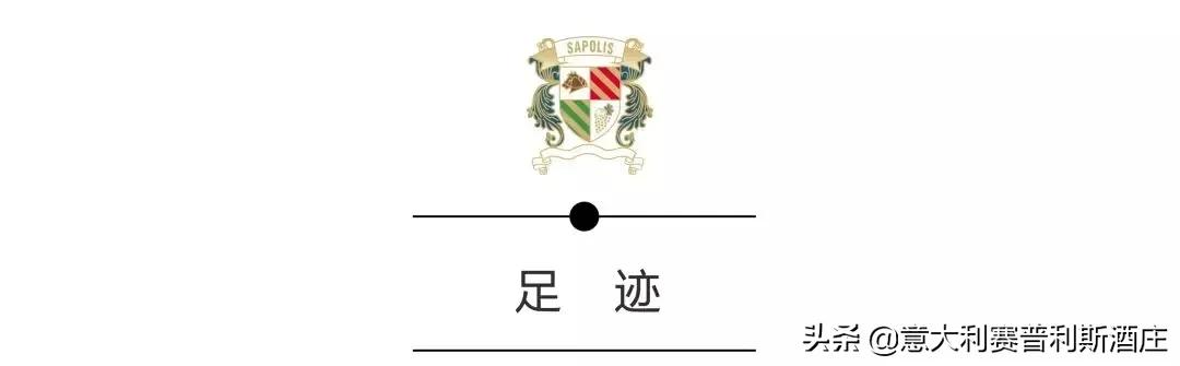 美国人眼中的意大利人,美国眼中的意大利人