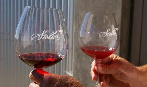 葡萄酒酿造过程需要多长时间,芒康葡萄酒酿造过程