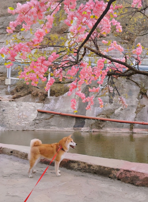 记我的一次旅行600字记叙文,记一次游玩经历600字