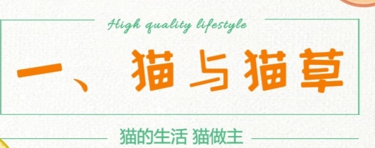 猫是肉食动物为什么它吃猫草,猫咪是食肉动物为什么喜欢吃猫草