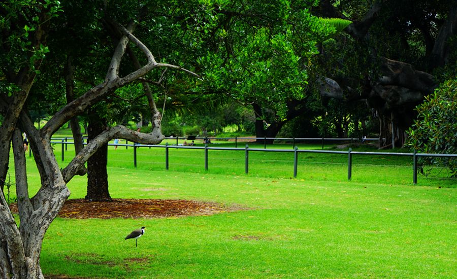 澳大利亚何时去旅游最好,去澳大利亚悉尼需要什么条件