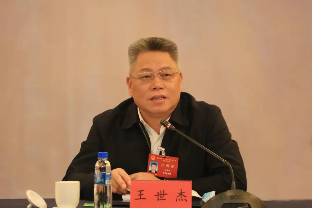 毕节市代表大会,毕节市人大会议黔西代表团视频